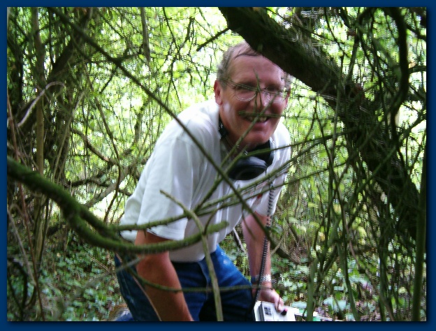 600x449 pixels (174K)